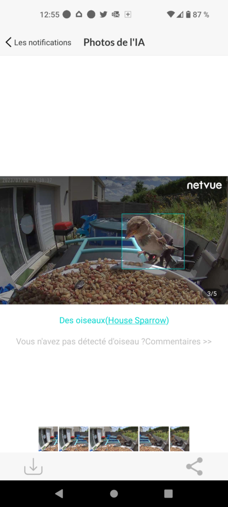 Découvrez la Caméra Netvue Birdfy : Une mangeoire à oiseaux connectée. -  AutoDomo
