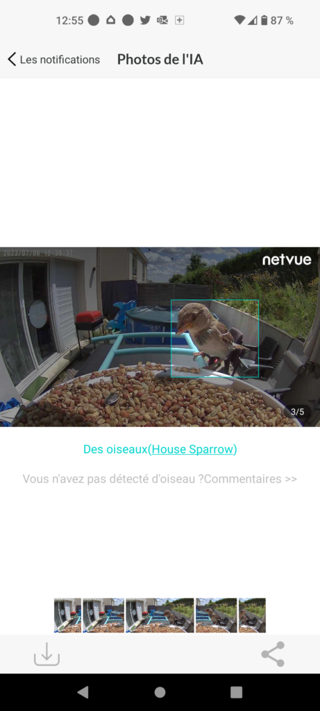 NETVUE Mangeoire à Oiseaux avec Caméra, Observez Les Oiseaux sur APP  Téléphone en Temps Réel, Capture Auto d'Images/Vidéos, Mangeoire Oiseaux  Camera Extérieure sans Fil, Notification Instantanée : : Sports et  Loisirs