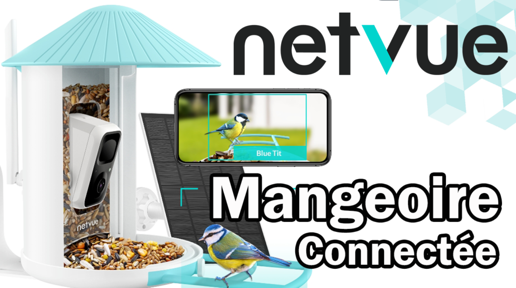 Découvrez la Caméra Netvue Birdfy : Une mangeoire à oiseaux connectée. -  AutoDomo